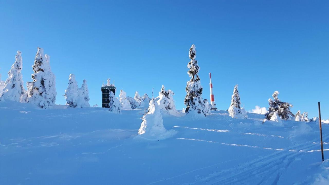 Hotel Zur Schmiede Altenau  Bagian luar foto