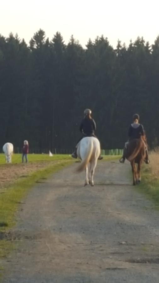 Hotel Zur Schmiede Altenau  Bagian luar foto